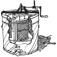 Homestead Beekeeping: How to Keep Bees Image